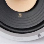 LII AUDIO HIFI FAST-10 Full Frequency Speaker 10 Inch 8ohm/40-60W Unit / 1PCS - Image 5