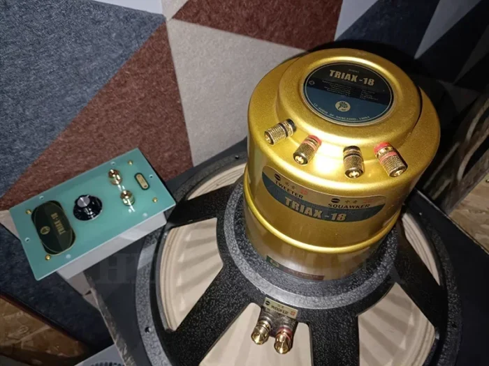 LII AUDIO TRIAX-18 18 Inch Three Frequency Cobalt Magnetic HiFi Coaxial Speaker 8 Ohm / 200W (1PCS) - Image 6