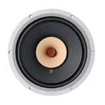 LII AUDIO HIFI FAST-10 Full Frequency Speaker 10 Inch 8ohm/40-60W Unit / 1PCS